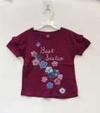  Áo thun Carter hồng best sister bé gái 