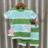  (9m) Bộ rùa sọc - 26 