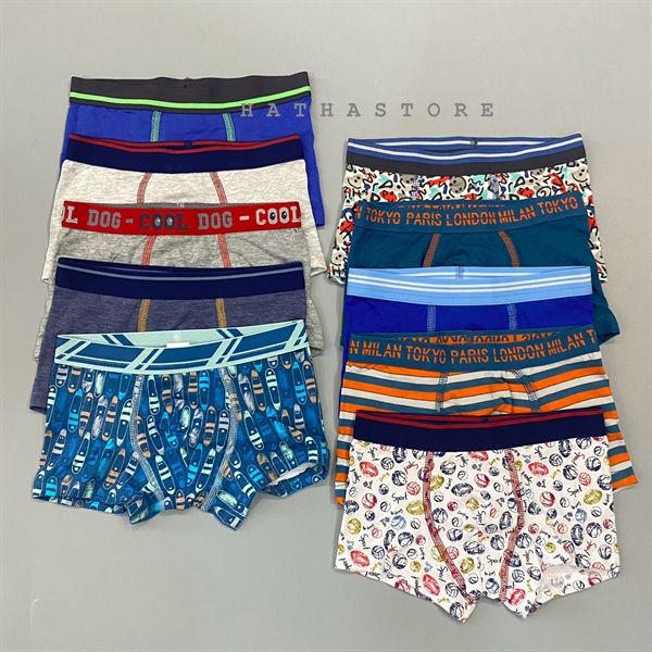  Set 5 cái quần chip T3X cho bé trai 