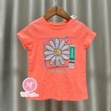  (xx) (SIZE 5Y) Áo thun Place, Garanimals cho bé gái 