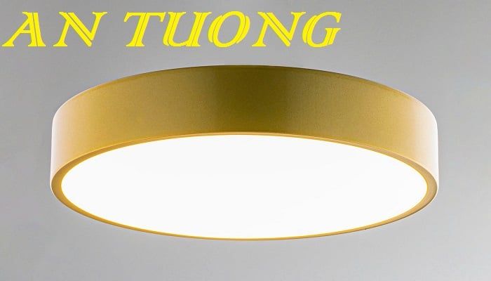 đèn trần LED trang trí phòng khách, phòng ngủ, phòng bếp, hành lang, ban công hiên nhà 0055