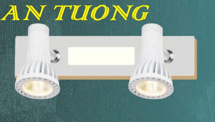 đèn rọi tranh, soi tranh 2 bóng treo vách tường trang trí 0036