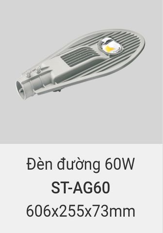  Đèn đường led vinaled 60w ST AG60 