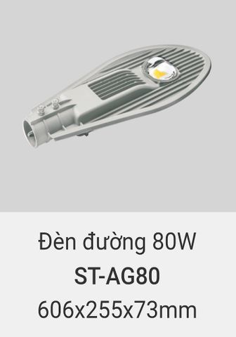  Đèn đường led vinaled 80w ST AG80 