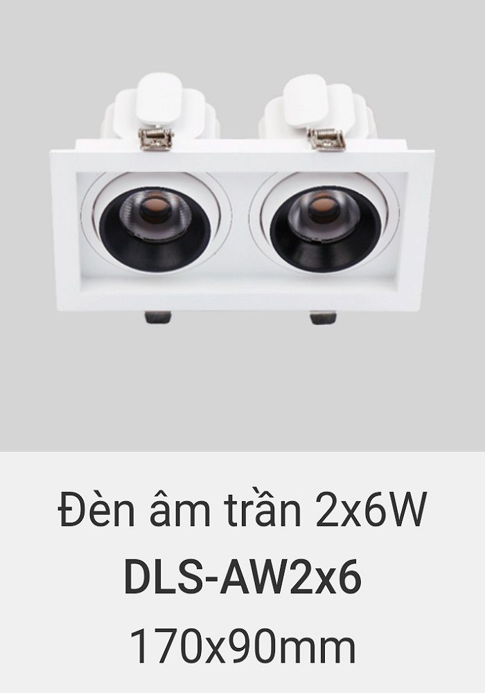 Đèn led downlight âm trần vinaled 2x6w DLS AW2x6
