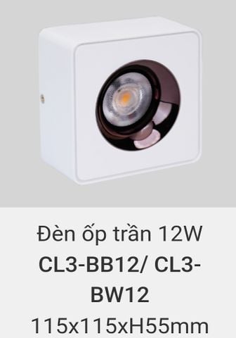  Đèn lon led ốp trần vuông vinaled 12w CL3 BB12 , CL3 BW12 