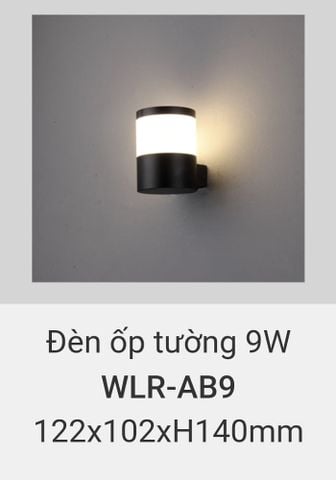  đèn ốp tường, treo tường trang trí ngoài trời vinaled 9w WLR AB9 