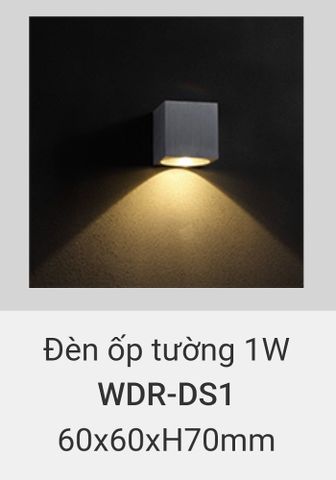  đèn treo tường rang trí vách hành lang, cầu thang vinaled 1w WDR DS1 