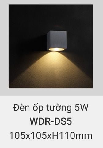  đèn treo tường rang trí vách hành lang, cầu thang vinaled 5w WDR DS5 
