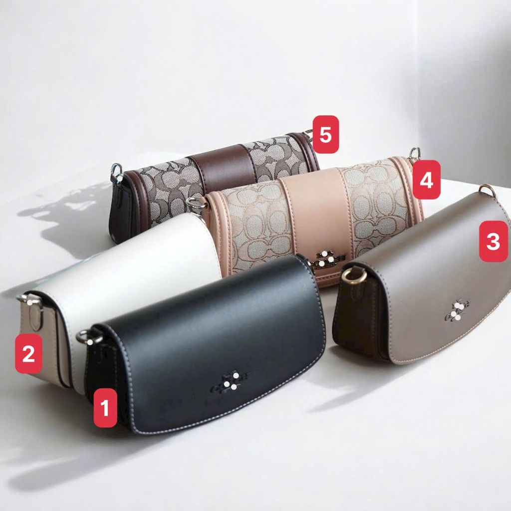 Túi Coach 5 màu mã 13009