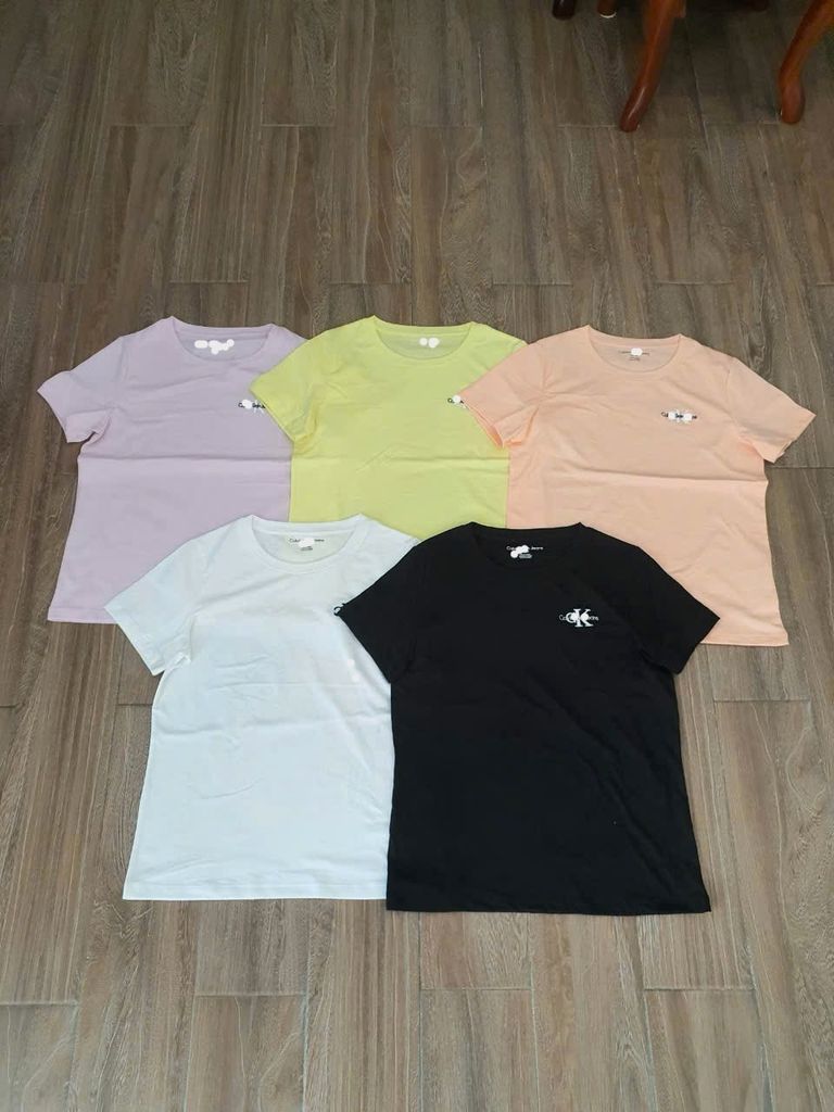 Áo thun nữ 5 màu mã CK2811