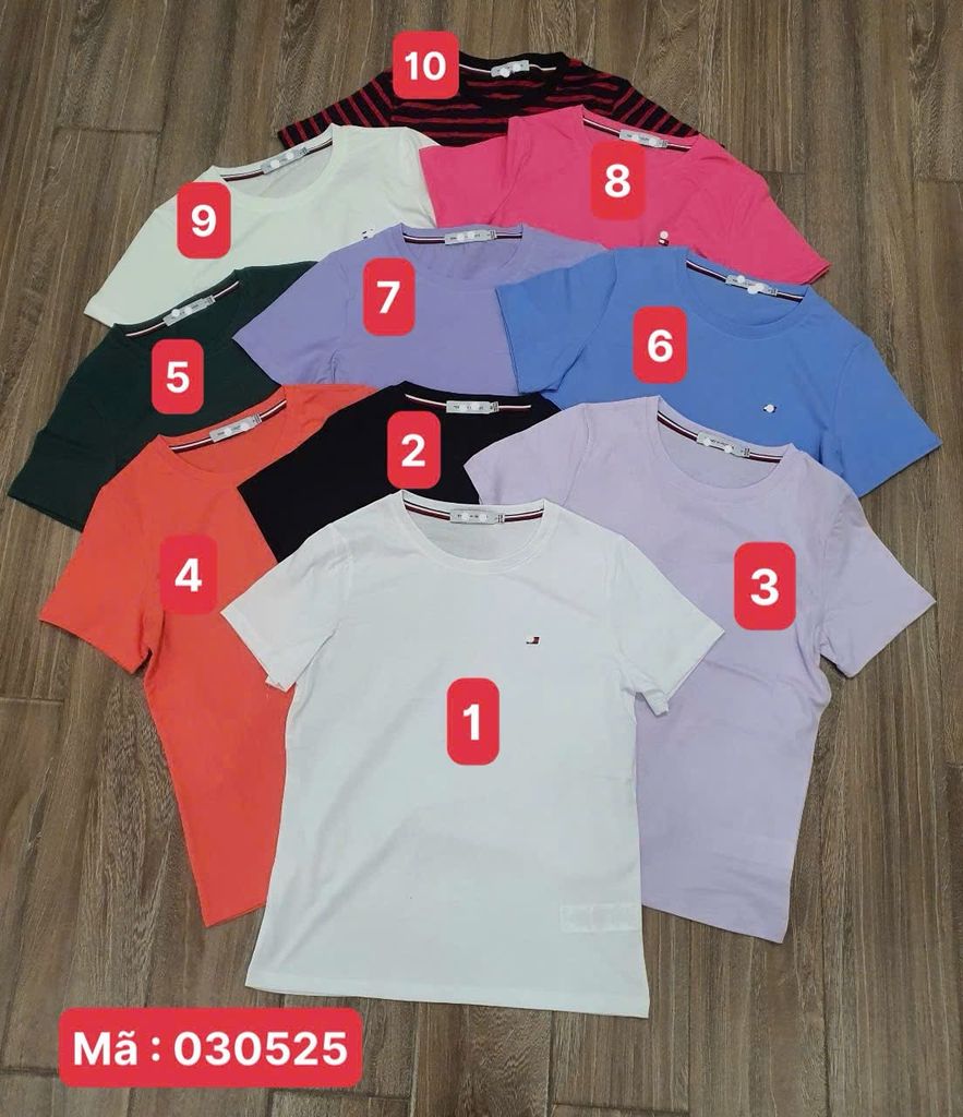 Áo thun Nữ 10 màu TM030525 tommy