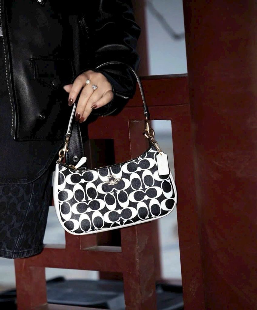 Túi Coach nhỏ phối trắng mã 1009