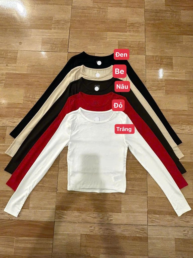 Áo thun tay dài Gap mã 0810