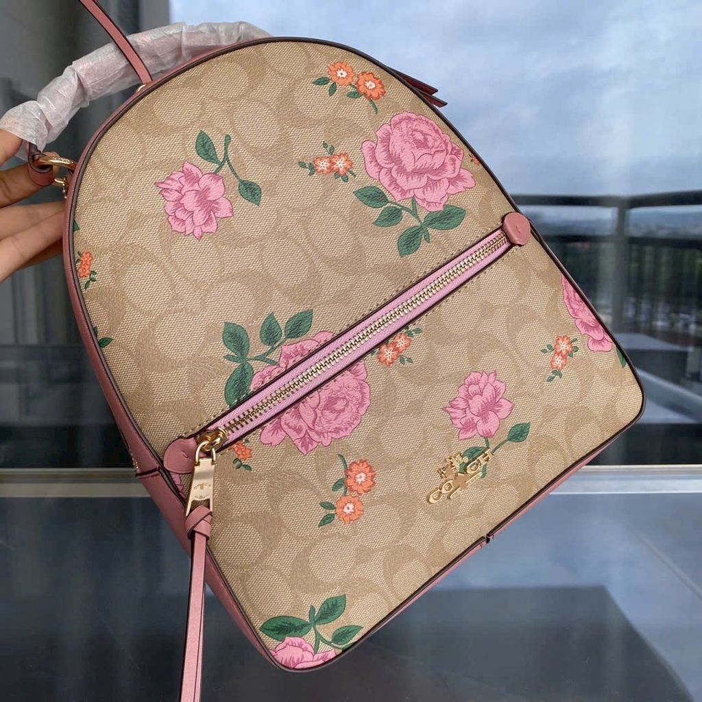 Balo Coach C3011 COACH- Signature C Design, coach Horse & Carriage Design