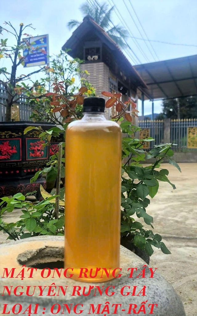 MẬT ONG RỪNG nguyên_chất