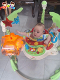  Ghế nhảy Fisher Price Baby Bouncer Rainforest Jumperoo 