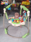  Ghế nhảy Fisher Price Baby Bouncer Rainforest Jumperoo 