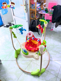  Ghế nhảy Fisher Price Baby Bouncer Rainforest Jumperoo 