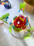  Ghế nhảy Fisher Price Baby Bouncer Rainforest Jumperoo 