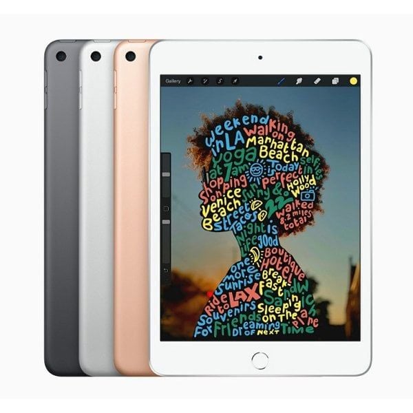 iPad Mini 5 4G 256GB Like New