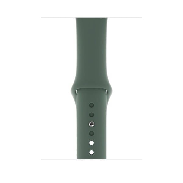 Apple Watch Series 5 Gray Titanium / Green Band (LTE)