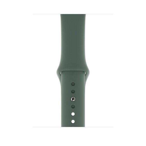 Apple Watch Series 5 Gray Titanium / Green Band (LTE)