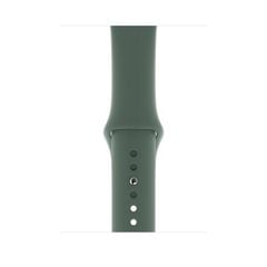 Apple Watch Series 5 Gray Titanium / Green Band (LTE)