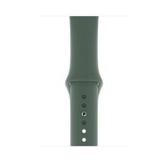 Apple Watch Series 5 Gray Titanium / Green Band (LTE)