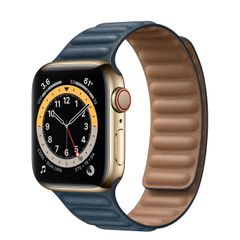 Apple Watch S6 Gold Stainless Steel Case with Leather Link (GPS+Cellular)