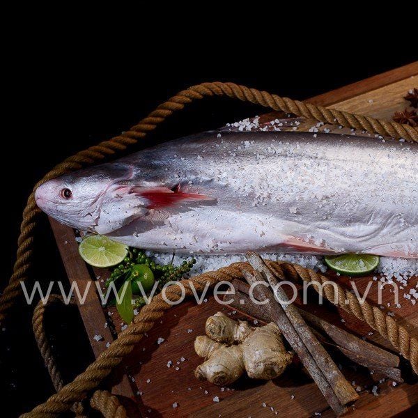  Cá Dứa Tươi thiên nhiên 100% 