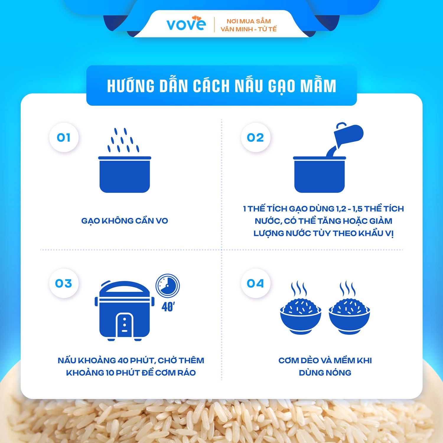  Gạo Mầm Vibigaba Lộc Trời, dành cho người tiểu đường, giảm cân, 1kg 