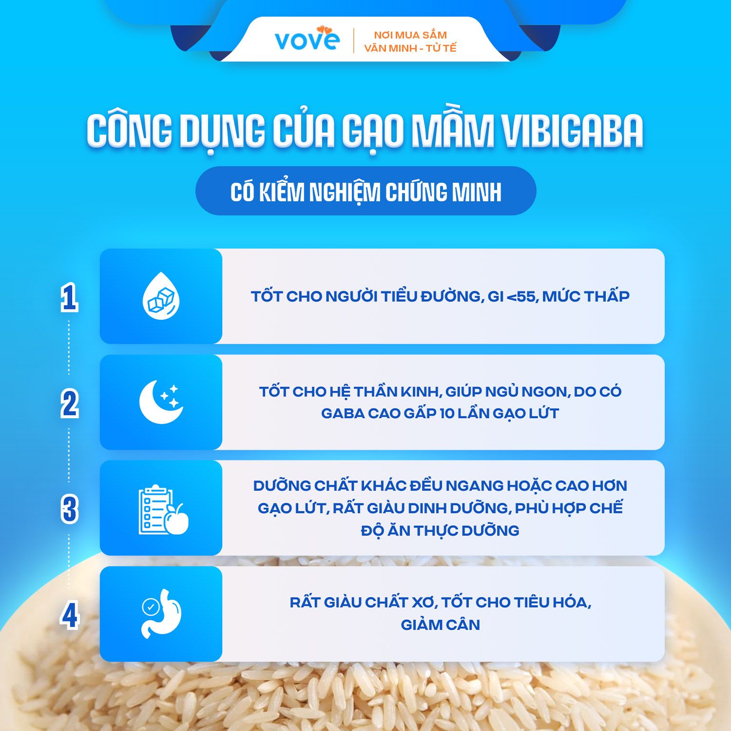  Gạo Mầm Vibigaba Lộc Trời, dành cho người tiểu đường, giảm cân, 1kg 