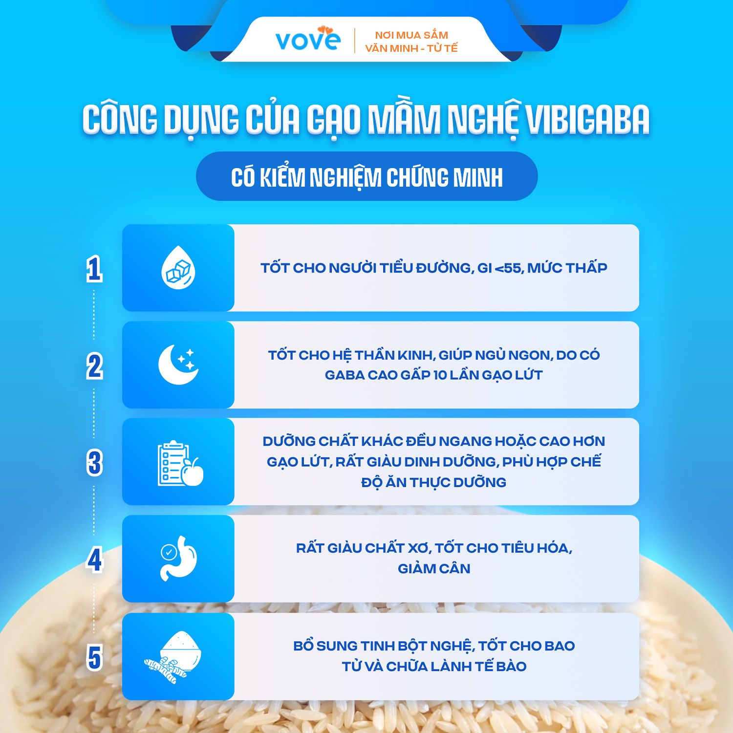  Gạo Mầm Nghệ Vibigaba Lộc Trời, dành cho người tiểu đường, tốt cho tiêu hóa, 1kg 