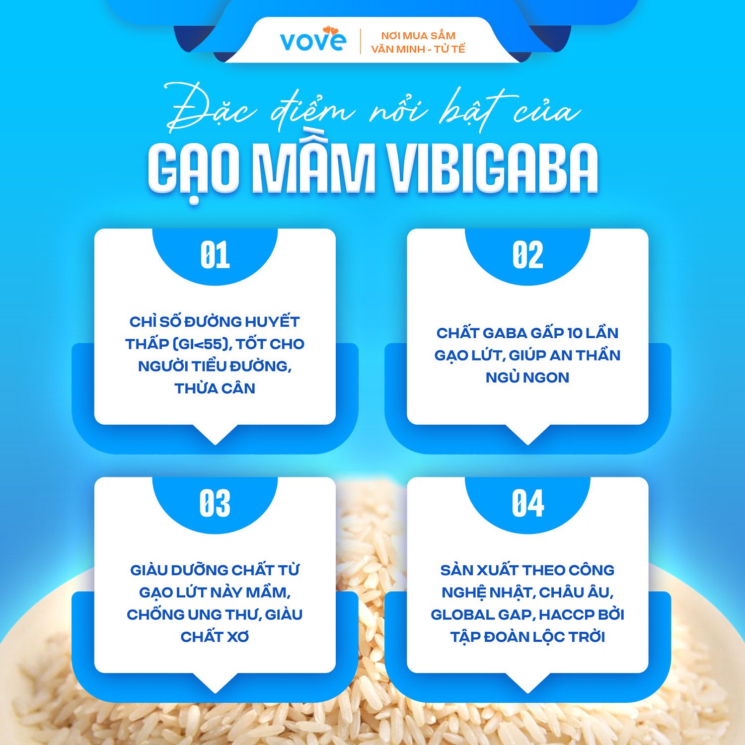  (Bộ dùng thử) Gạo mầm Tiểu đường Vibigaba, 2 loại, 2kg 
