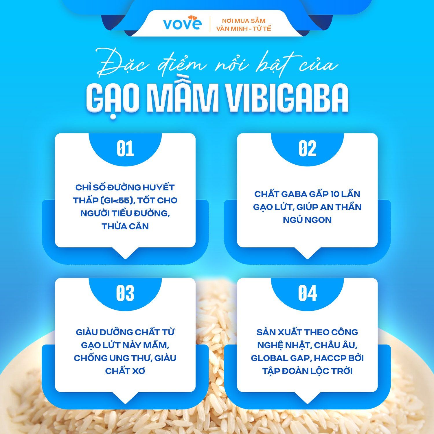  Gạo Mầm Nghệ Vibigaba Lộc Trời, dành cho người tiểu đường, tốt cho tiêu hóa, 1kg 