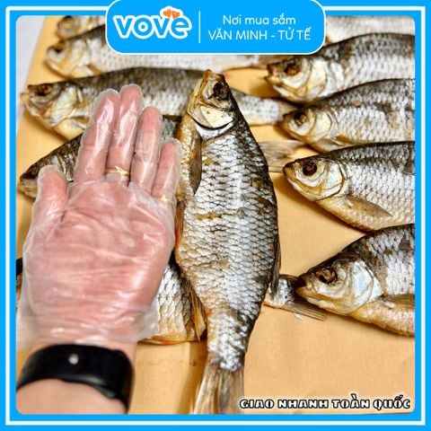 Đặc Sản Nhập Khẩu