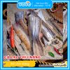 lapxuongbosiemriephieulytheangseng500gr