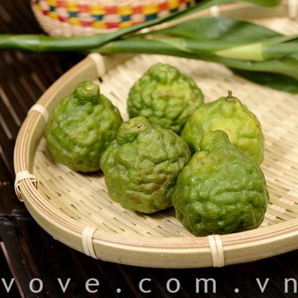  Trái Chúc Campuchia (Chanh Thái) 
