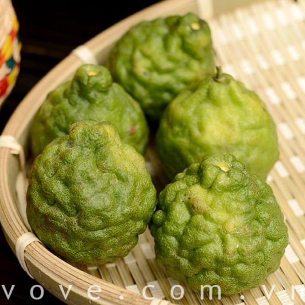  Trái Chúc Campuchia (Chanh Thái) 