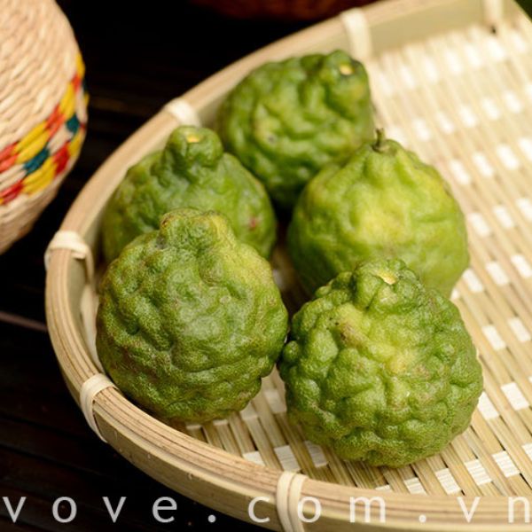  Trái Chúc Campuchia (Chanh Thái) 