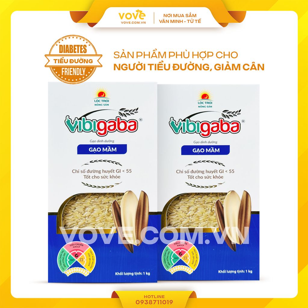 gaochuyendacbietchonguoitieuduongandotemaseklowgibasmatiricegold5kg
