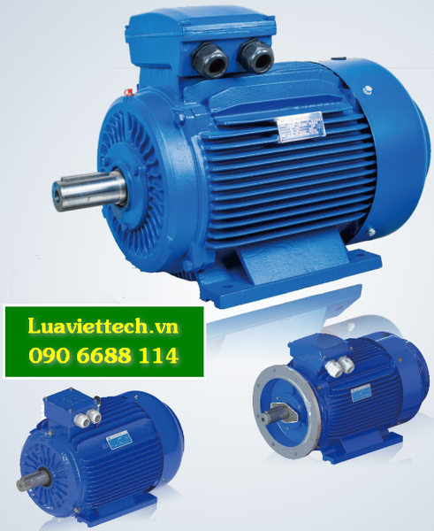  Máy bơm nước chữa cháy WINDY chính hãng, đủ loại, có hóa đơn VAT 