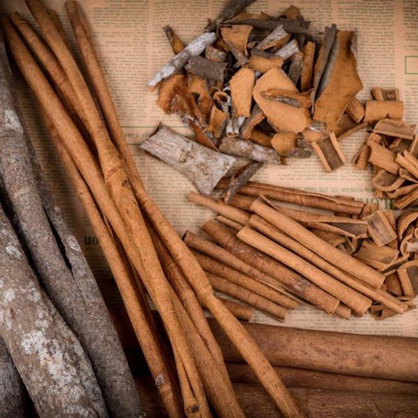 Quế Cây chất lượng hàng đầu nhập khẩu trực tiếp từ Ấn Độ