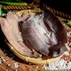 khocaloccamaudongthaploai1nang500gr