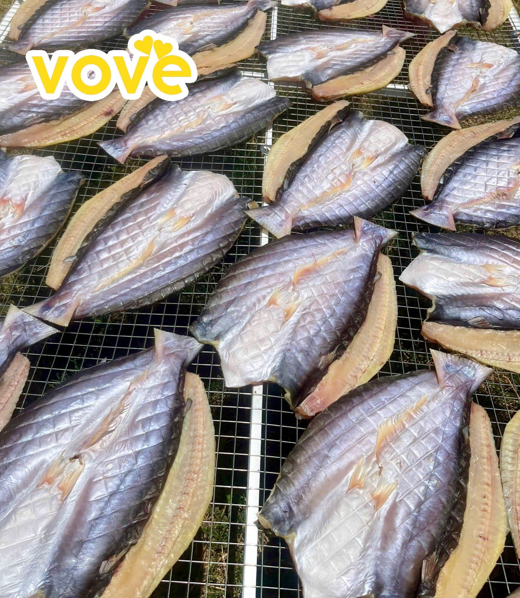 kho ca dua 1 nang can gio that 100 ca nuoi chinh goc
