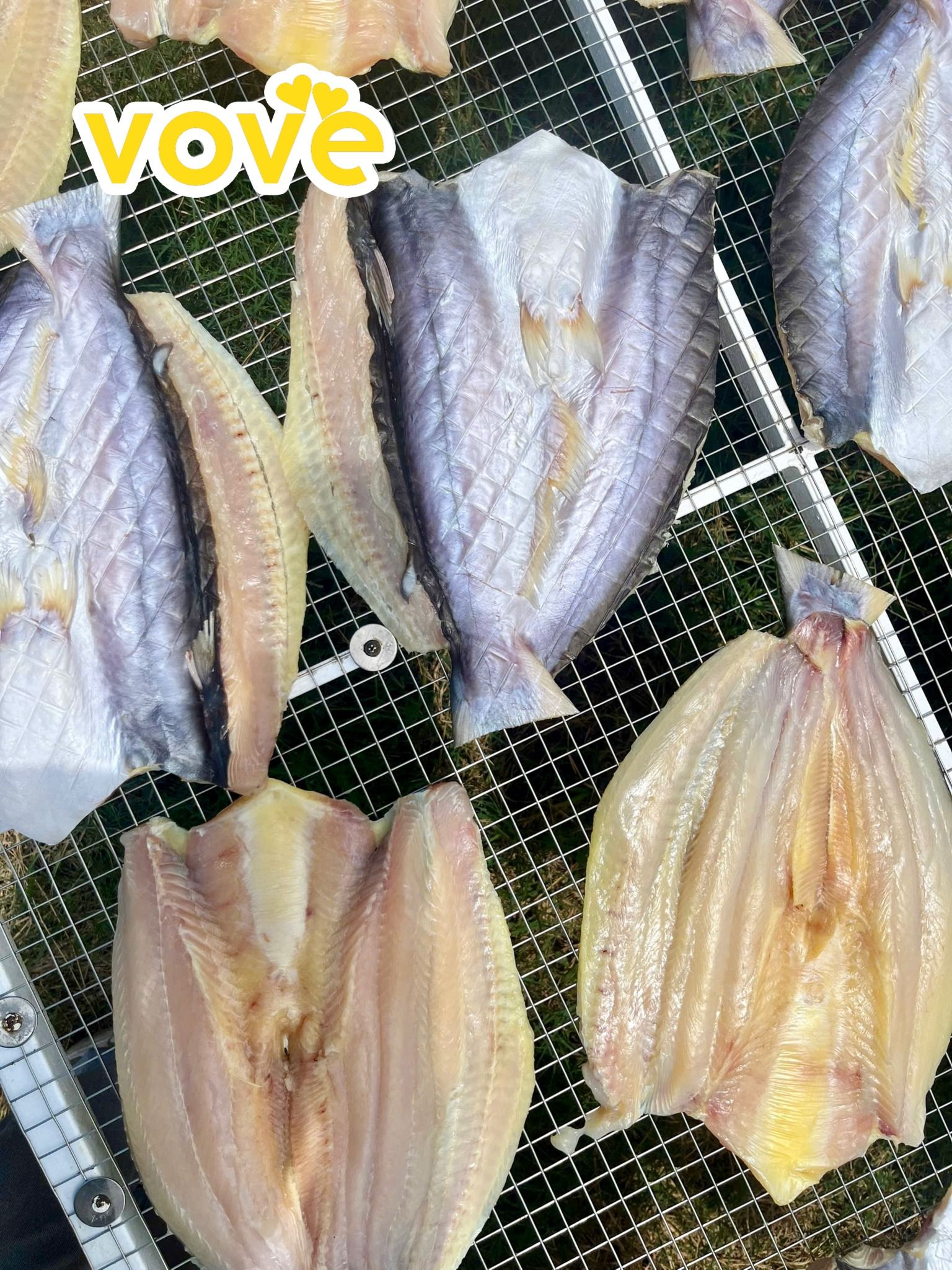 kho ca dua 1 nang can gio that 100 ca nuoi chinh goc