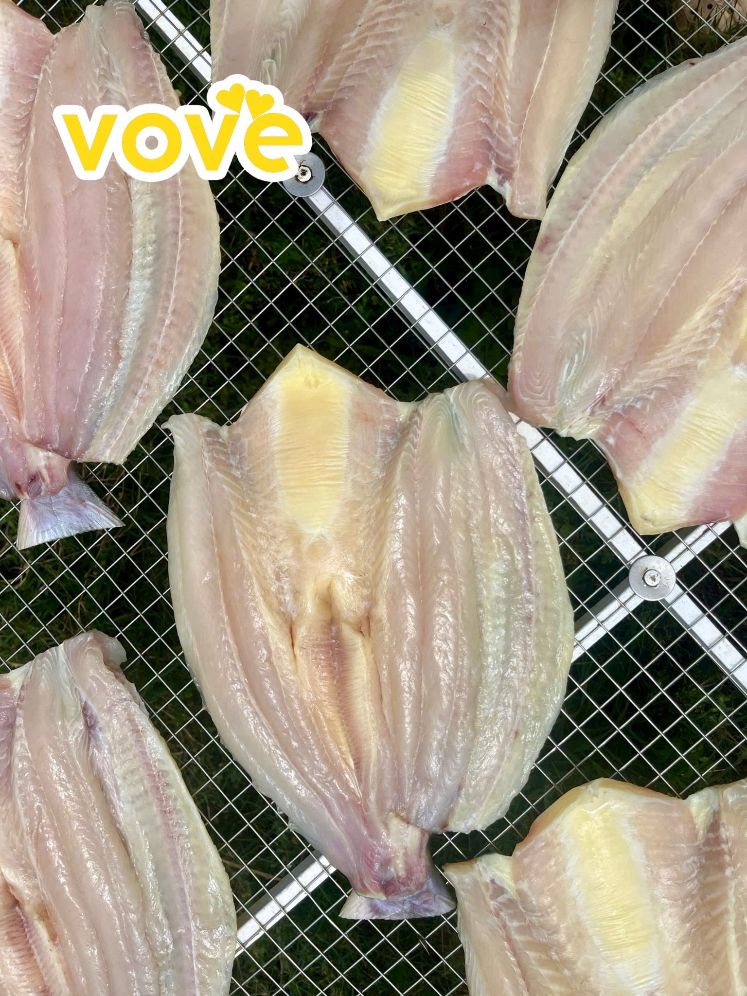 kho ca dua 1 nang can gio that 100 ca nuoi chinh goc