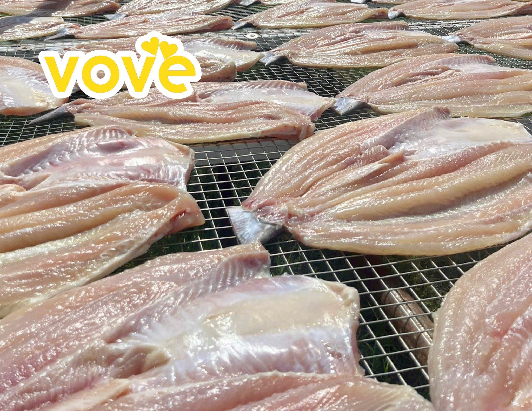 kho ca dua 1 nang can gio that 100 ca nuoi chinh goc