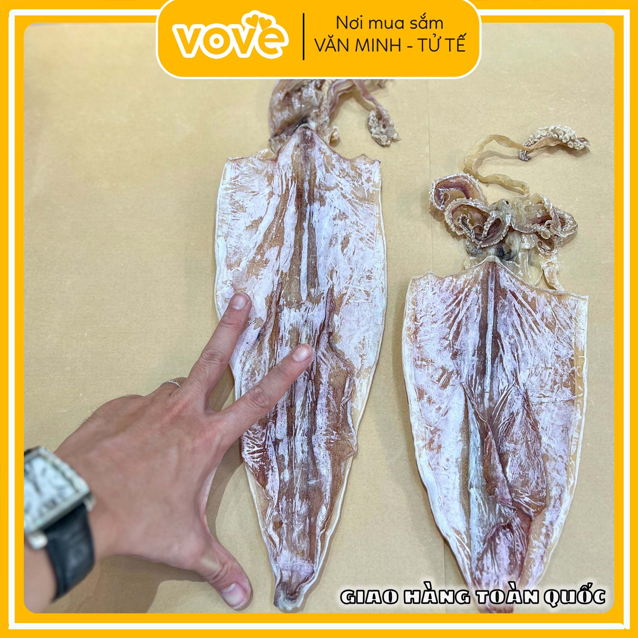 kho muc cau phu quoc loai 7 10 con kg 1kg
